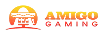 11_Amigo-Gaming_result